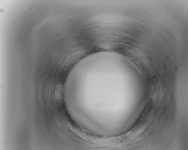 X0000088600036200706011214