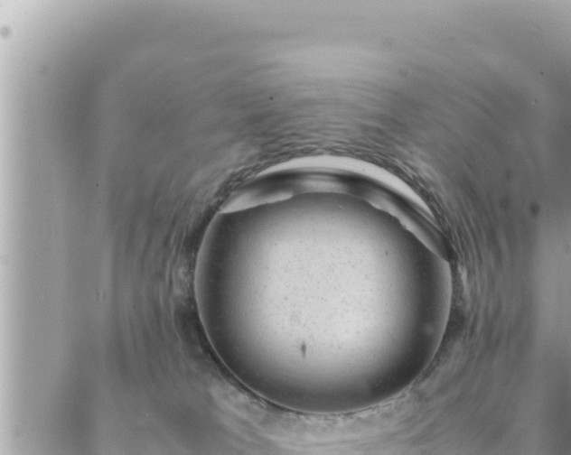 X0000088600037200706011213