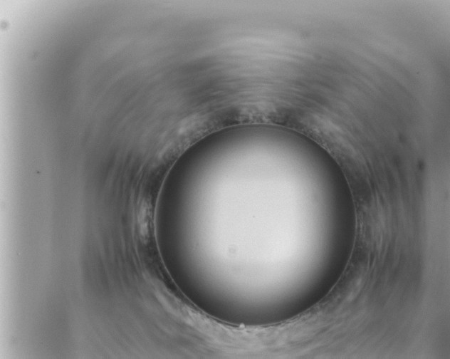 X0000088600038200706011213