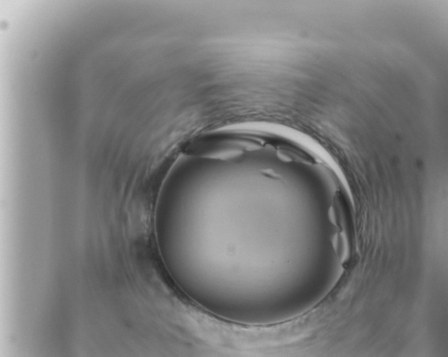 X0000088600039200706011213