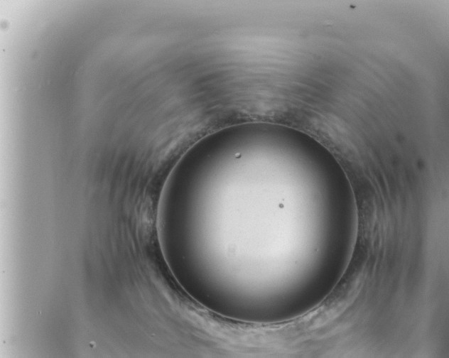 X0000088600040200706011213