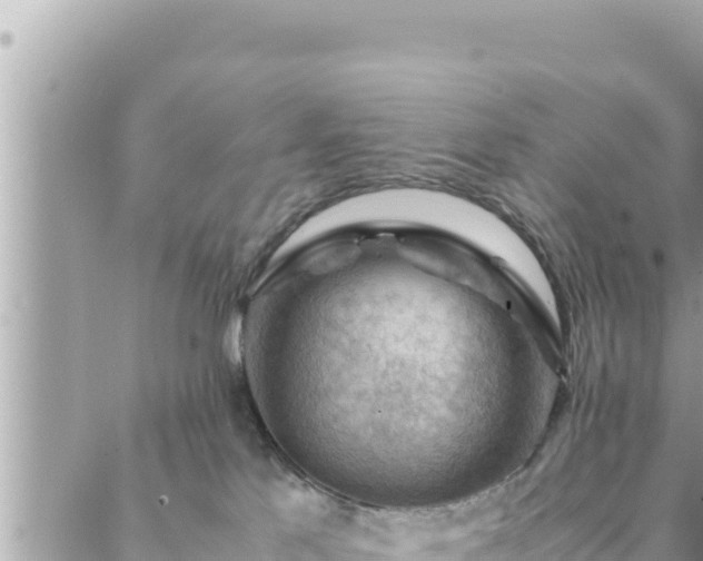 X0000088600041200706011213