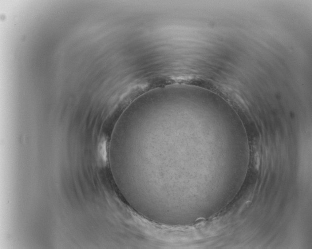 X0000088600042200706011213