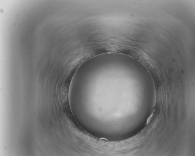 X0000088600043200706011213