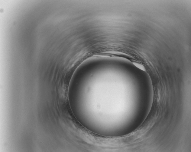 X0000088600044200706011213