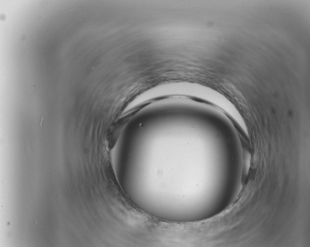 X0000088600045200706011213