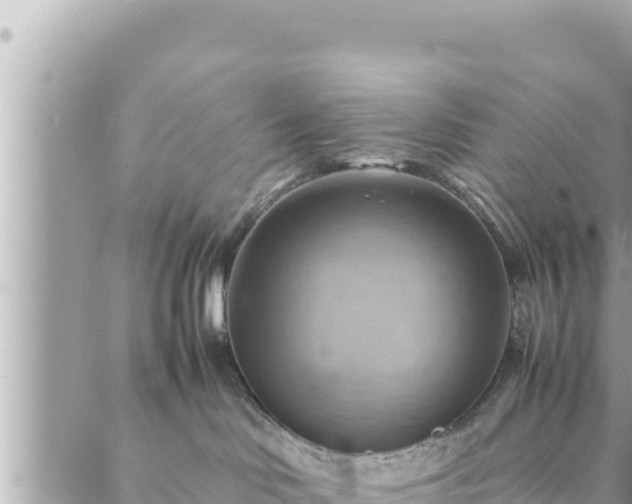 X0000088600046200706011213