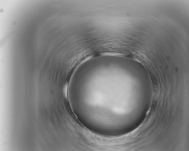 X0000088600047200706011213