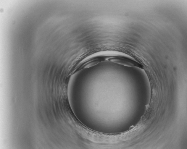 X0000088600048200706011213