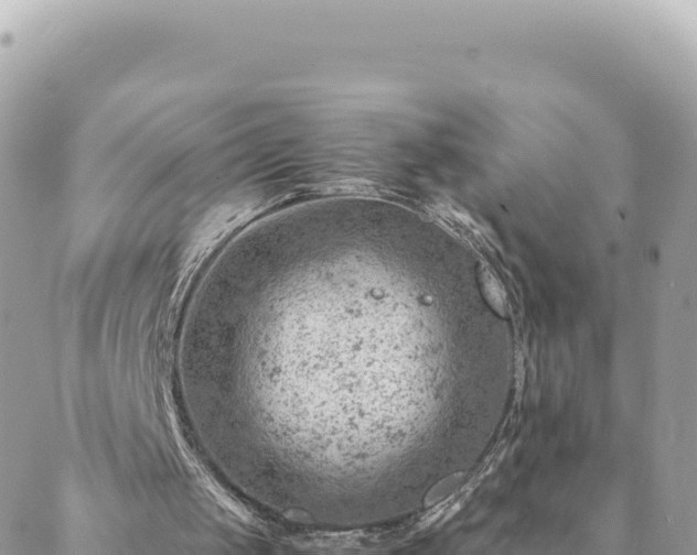 X0000088600049200706011213