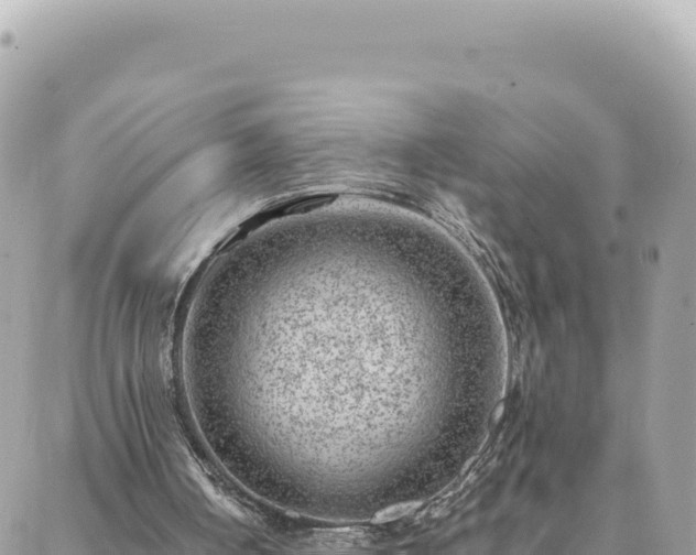 X0000088600050200706011213