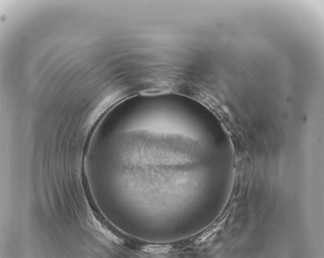 X0000088600051200706011213