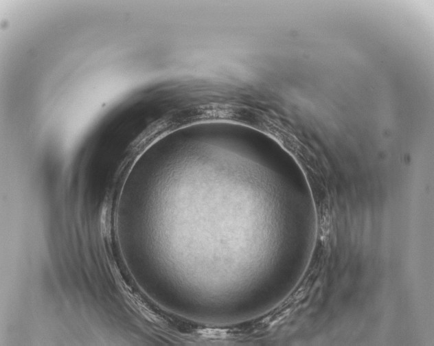 X0000088600052200706011213