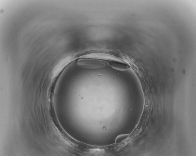 X0000088600053200706011213