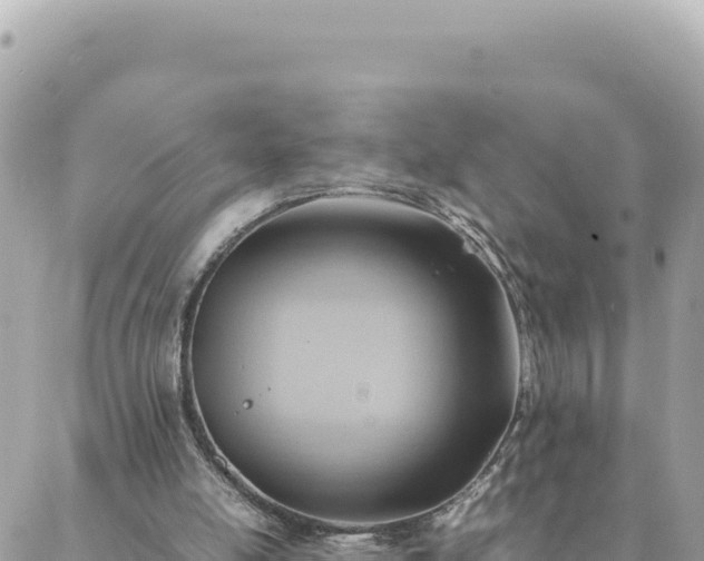 X0000088600054200706011213