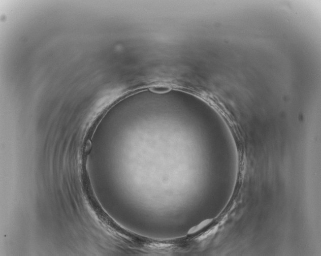 X0000088600055200706011213