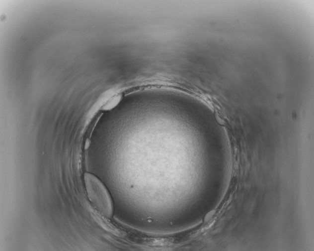 X0000088600056200706011213