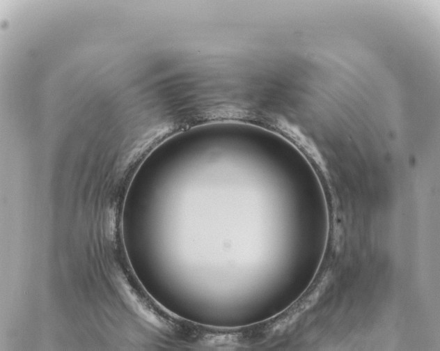 X0000088600057200706011213