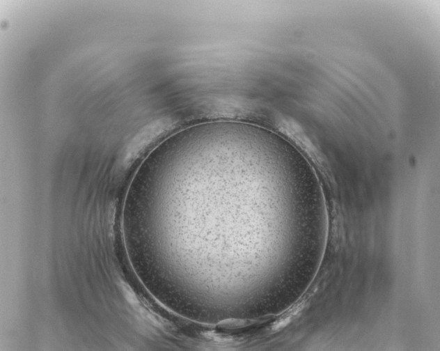 X0000088600058200706011213