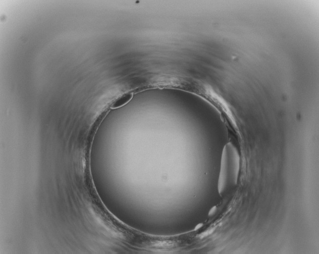 X0000088600059200706011213