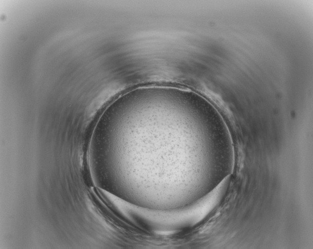 X0000088600060200706011213