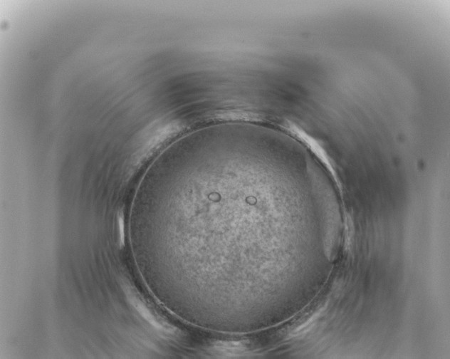 X0000088600061200706011213