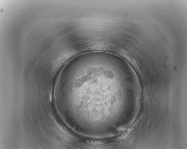 X0000088600062200706011213