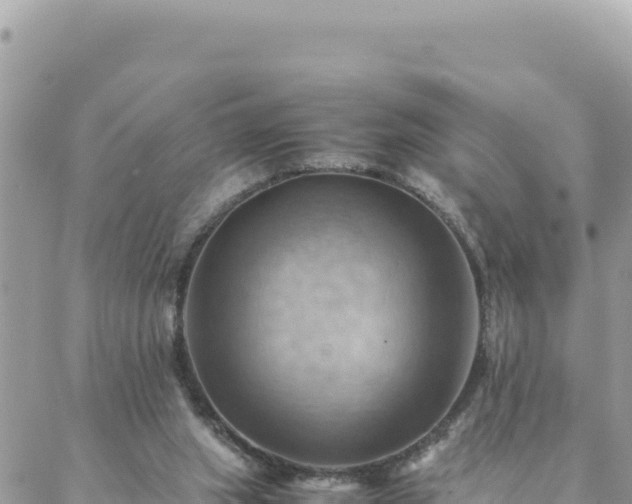 X0000088600063200706011213