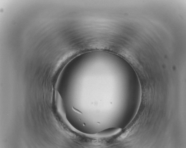 X0000088600064200706011213