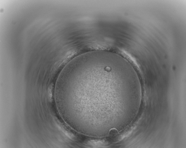 X0000088600065200706011213