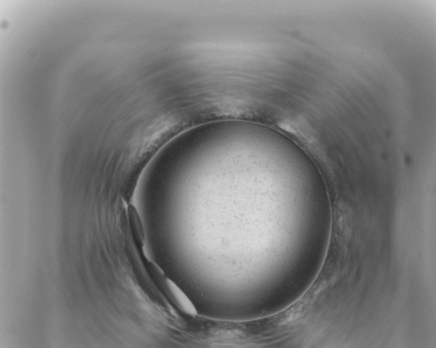 X0000088600066200706011213