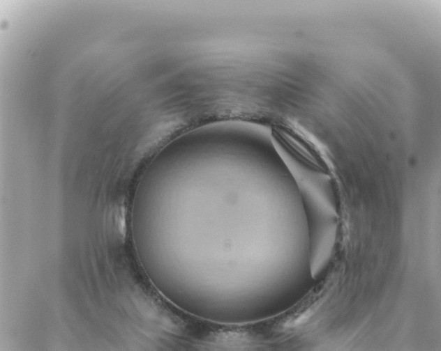 X0000088600067200706011213