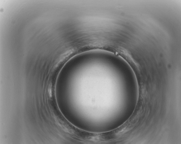 X0000088600068200706011213