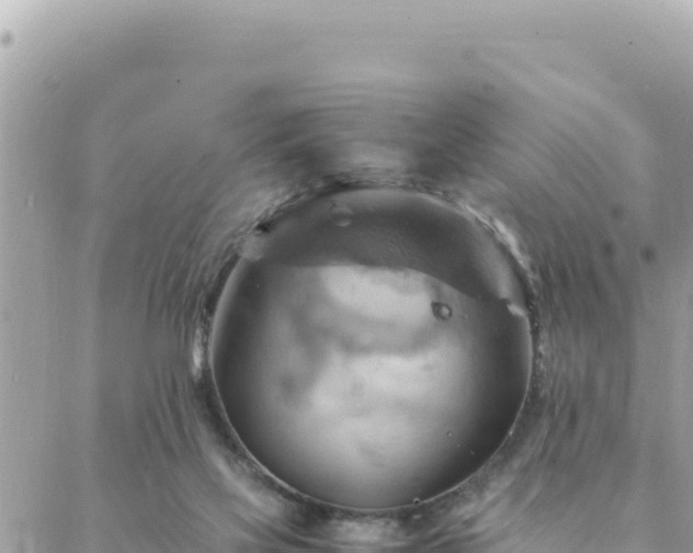 X0000088600069200706011213