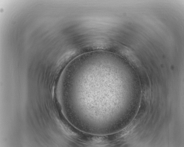 X0000088600070200706011213