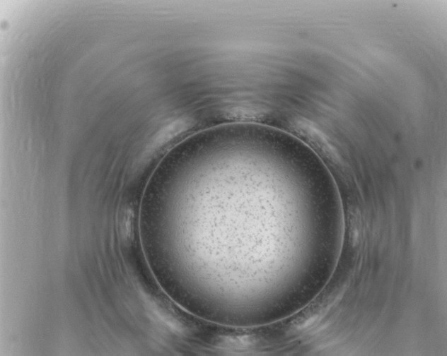 X0000088600071200706011213