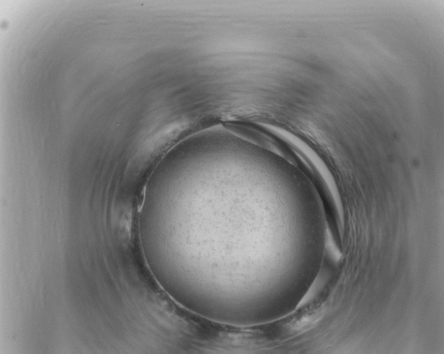 X0000088600072200706011213