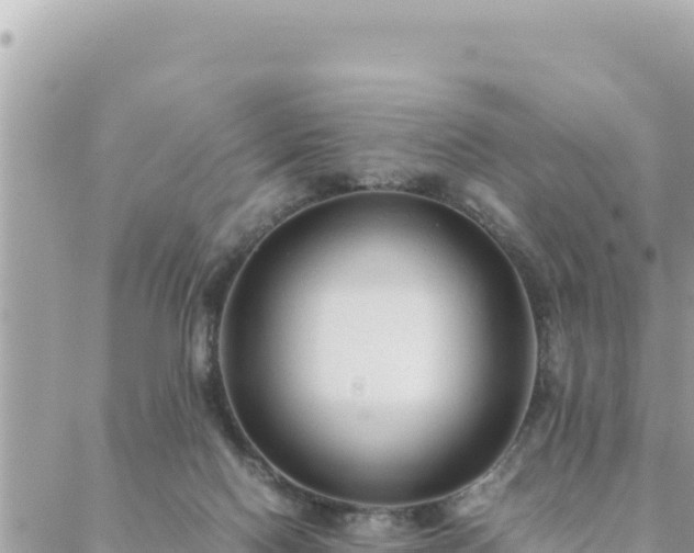 X0000088600074200706011213