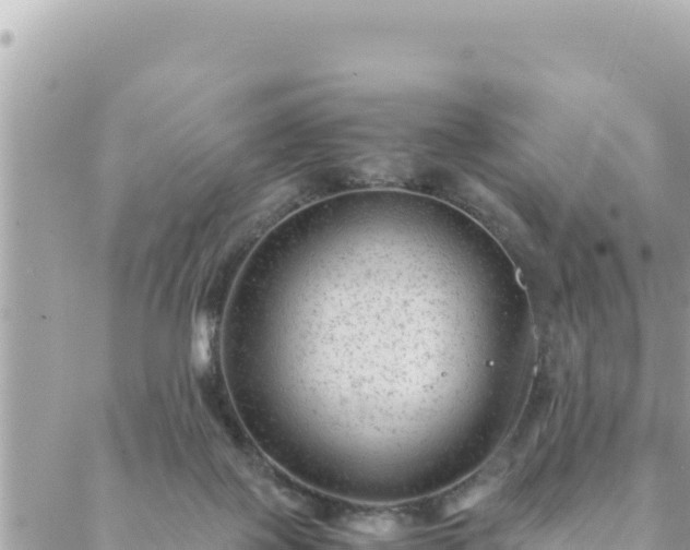 X0000088600075200706011213