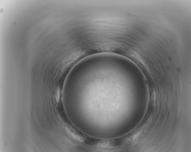 X0000088600076200706011213