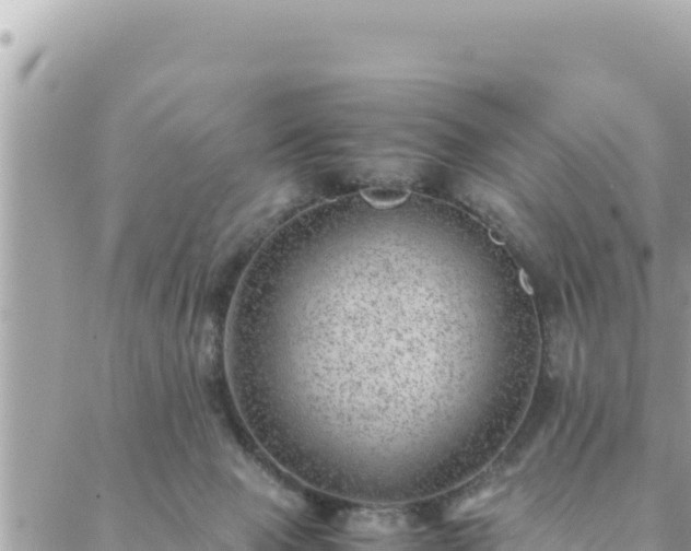 X0000088600077200706011213