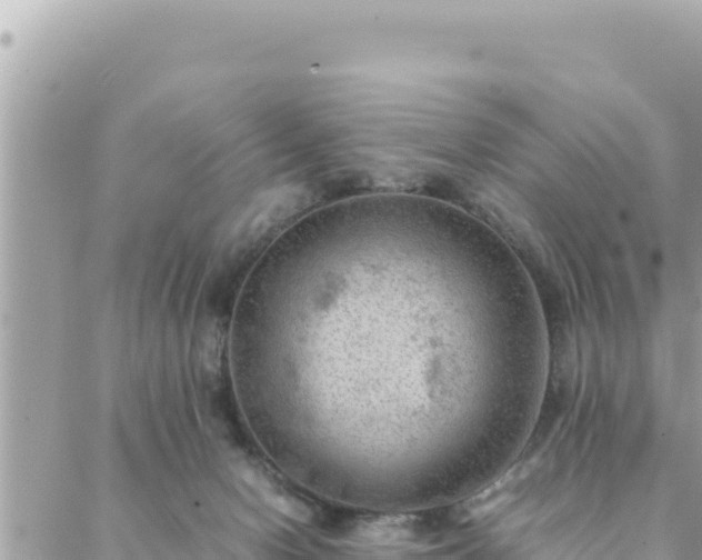 X0000088600078200706011213