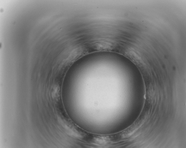 X0000088600079200706011213