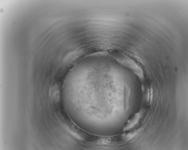 X0000088600080200706011213