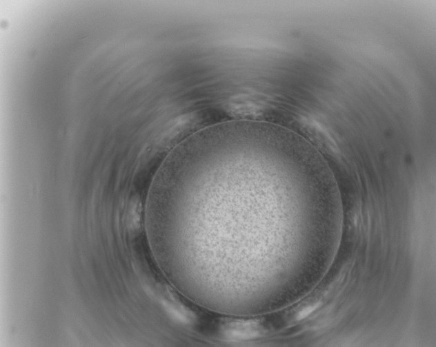 X0000088600081200706011213