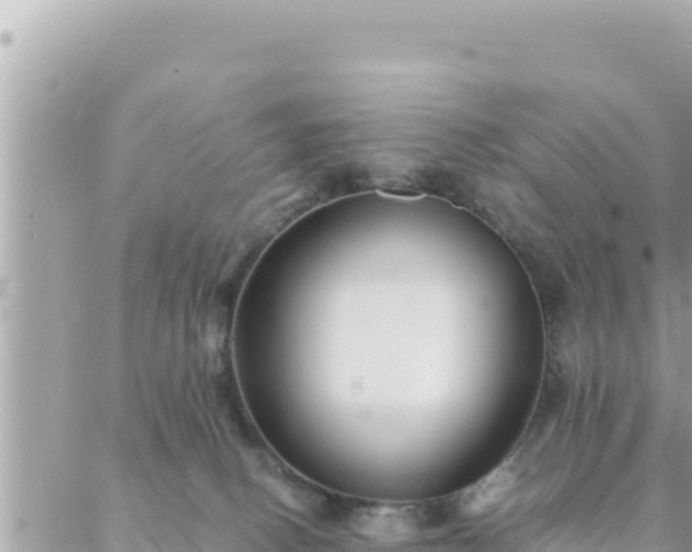 X0000088600082200706011213