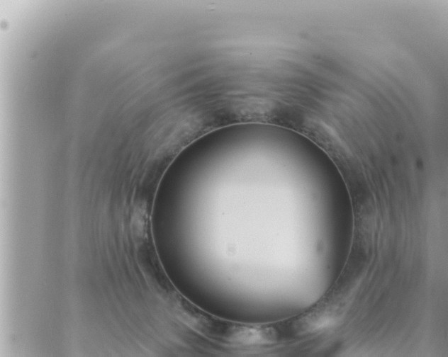 X0000088600083200706011213