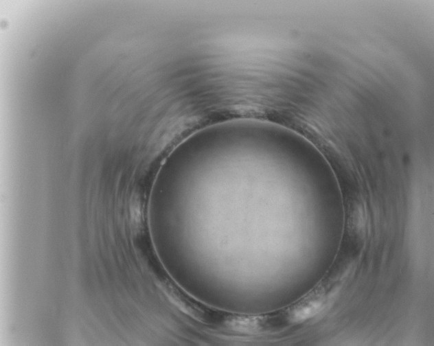 X0000088600084200706011213