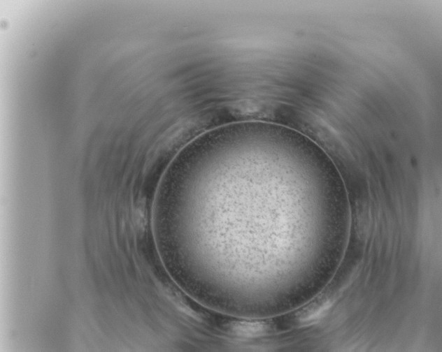 X0000088600085200706011213