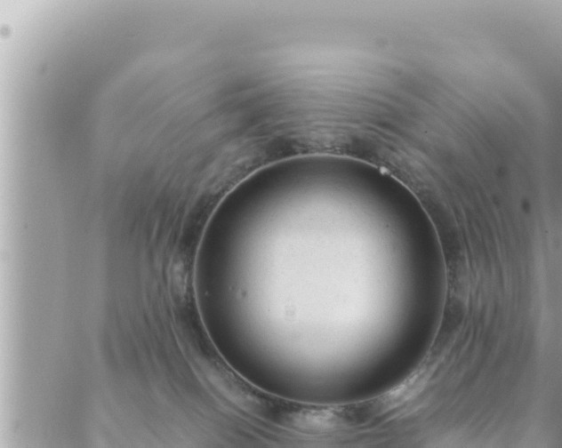 X0000088600086200706011213